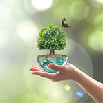 オゾン消臭加工